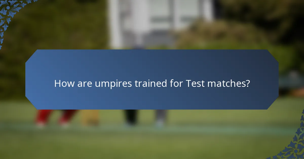 How are umpires trained for Test matches?